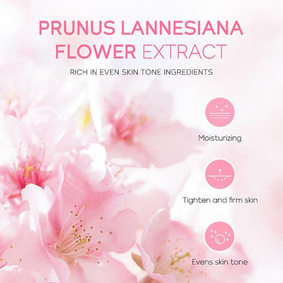 Japan Sakura Skincare Set  3-piece